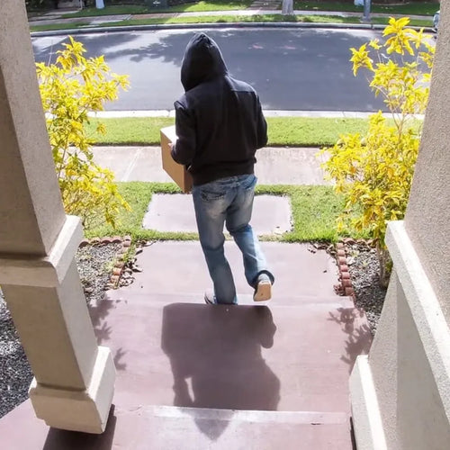 Insured Shipping & Theft Protection